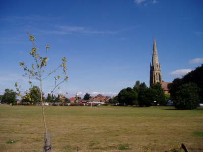 P9020079